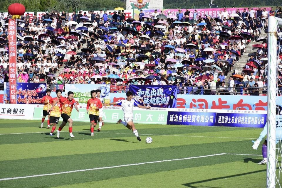 队在主场汪, 号金至诚和