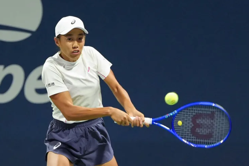 王欣瑜没有, 号种子凯斯